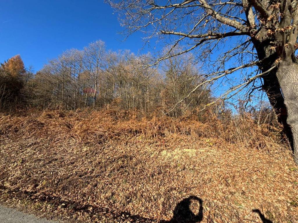 Terreno a Montezemolo - Foto 2