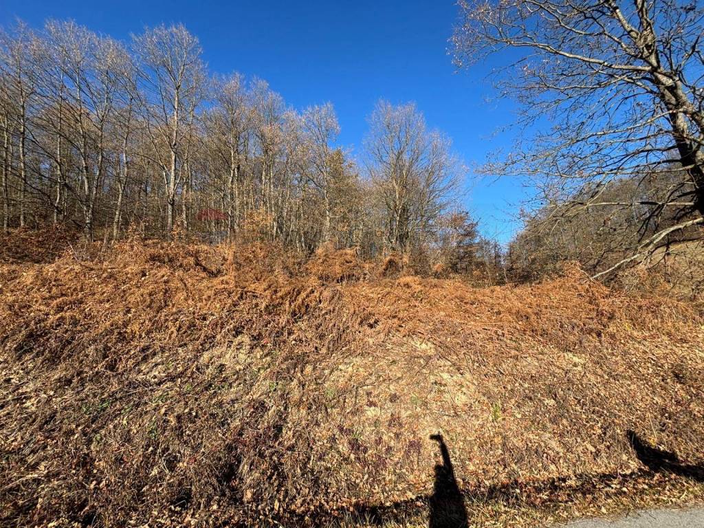 Terreno a Montezemolo - Foto 4