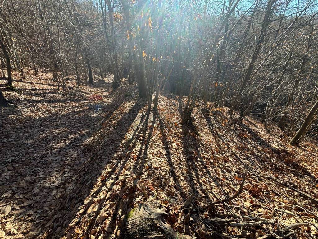 Terreno a Montezemolo - Foto 2