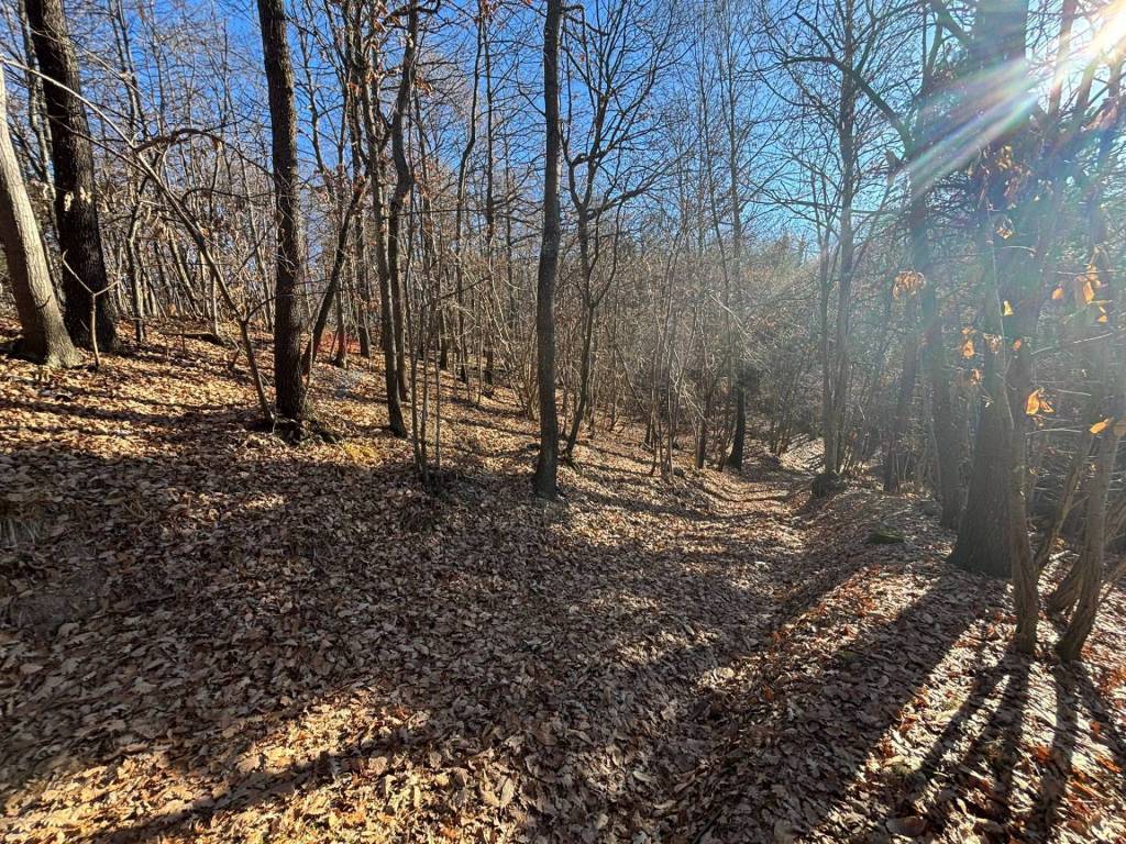 Terreno a Montezemolo - Foto 3