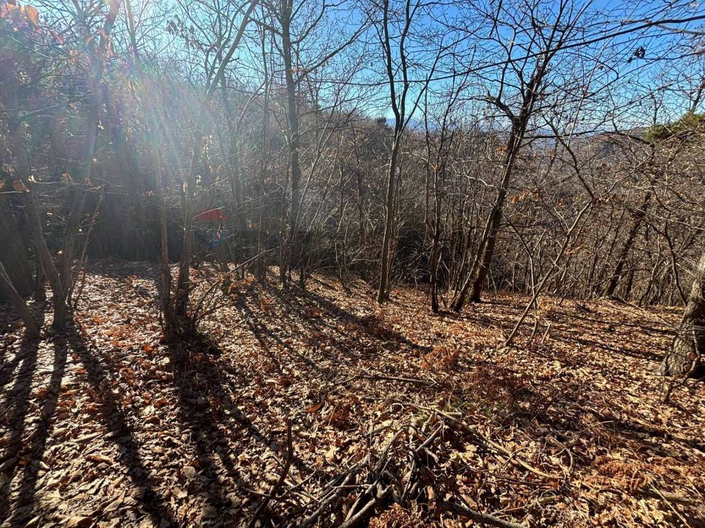 Terreno a Montezemolo - Foto 4