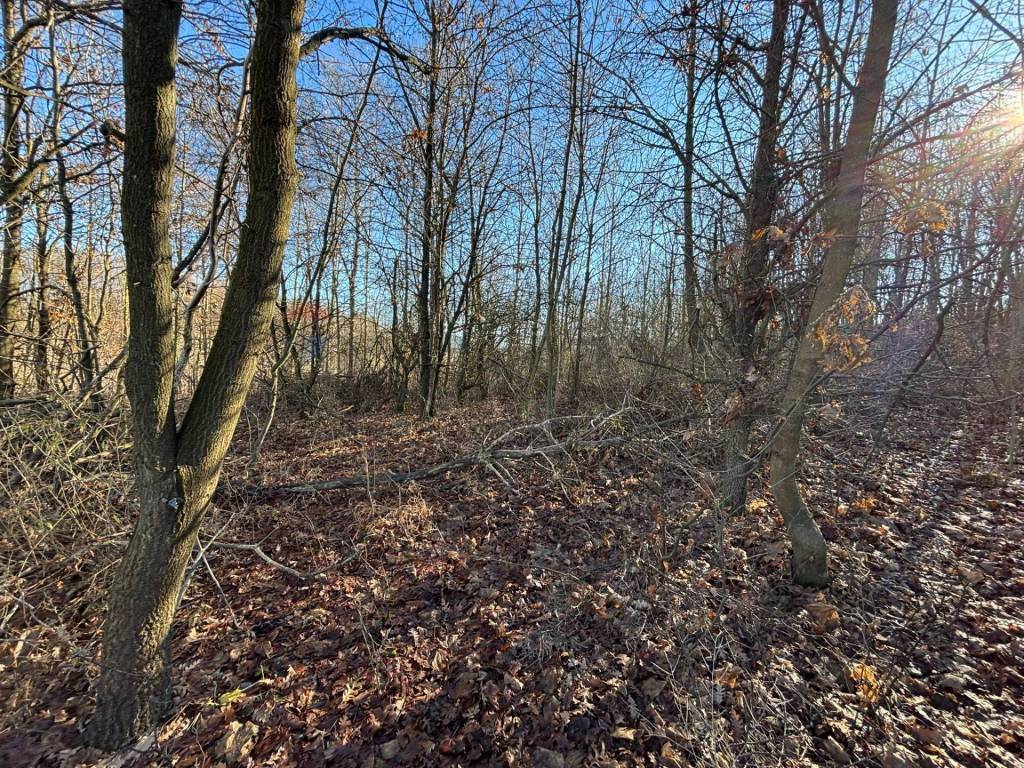 Terreno a Montezemolo - Foto 3