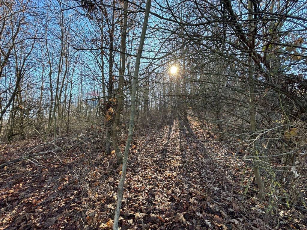 Terreno a Montezemolo - Foto 2