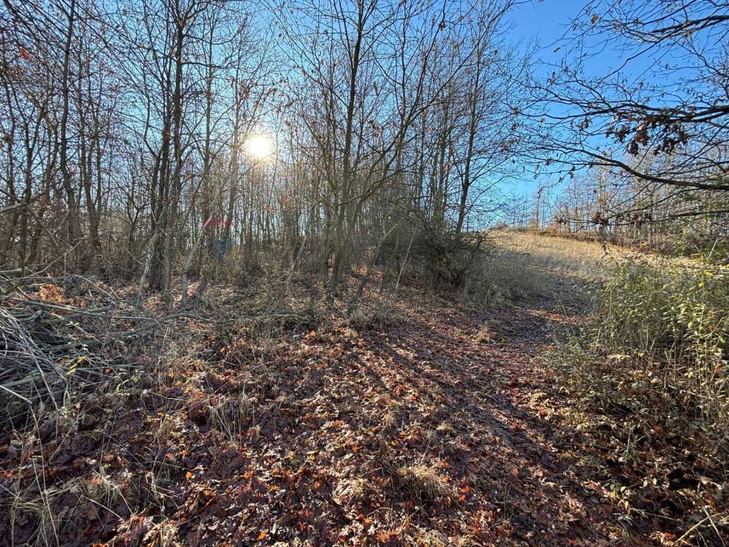 Terreno a Montezemolo - Foto 3