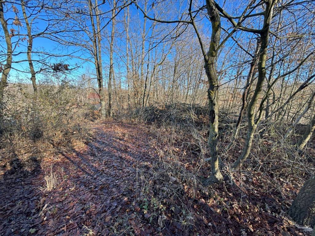 Terreno a Montezemolo - Foto 4