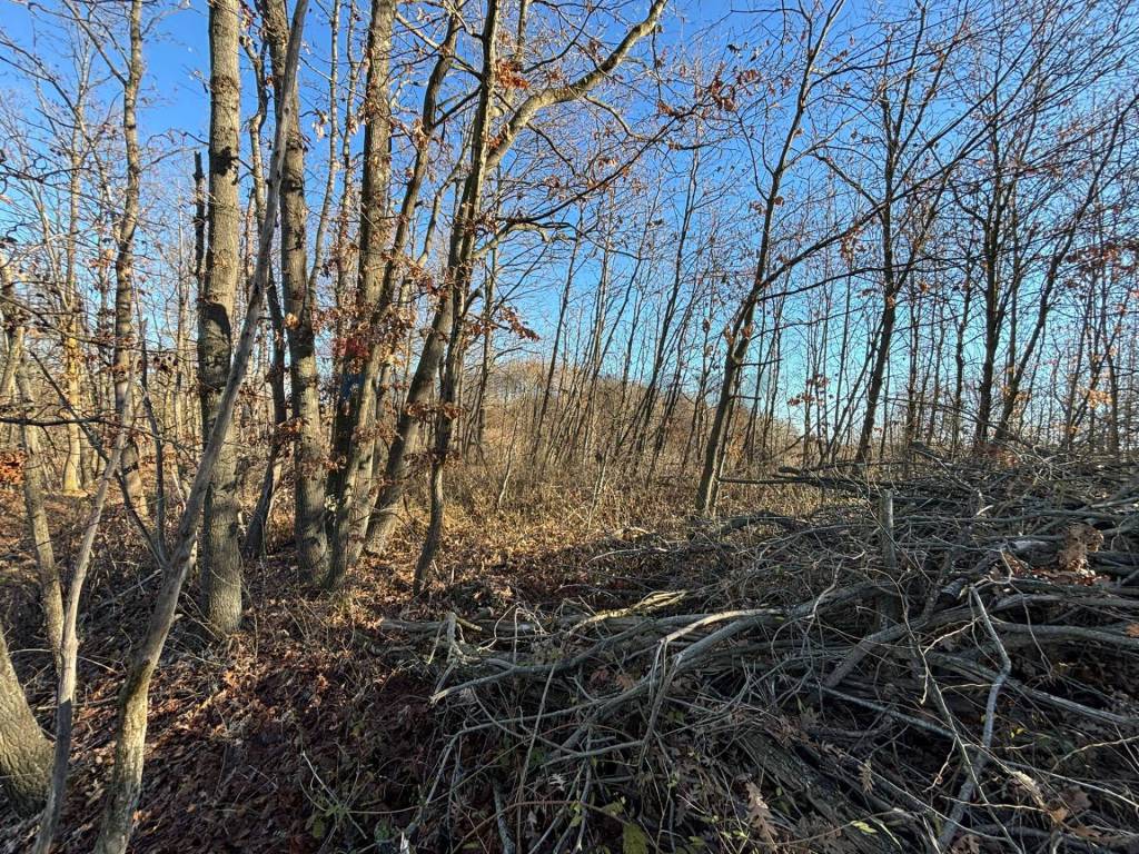 Terreno a Montezemolo - Foto 5