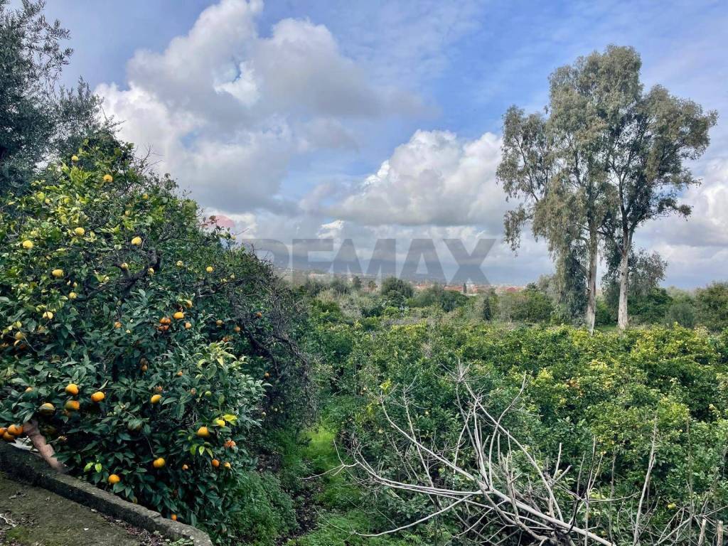 Terreno a Acireale in Via Ragogna, 13 - Foto 5