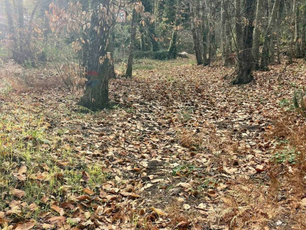 Terreno a Zafferana etnea in Via Feudo Manganelli - Foto 3
