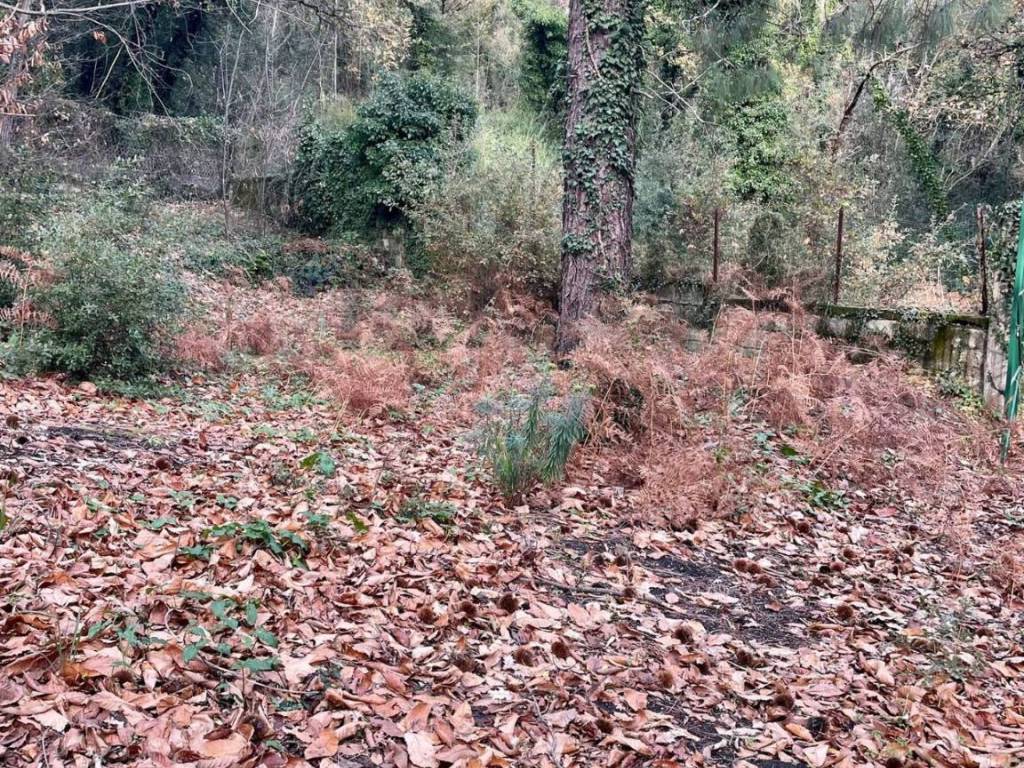 Terreno a Zafferana etnea in Via Feudo Manganelli - Foto 4