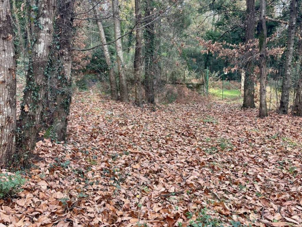 Terreno a Zafferana etnea in Via Feudo Manganelli - Foto 5