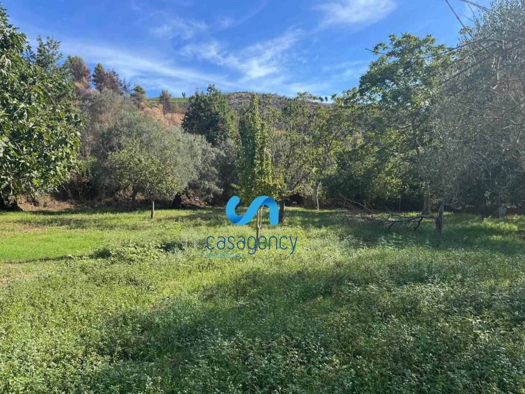 Terreno a Caserta - Foto 3