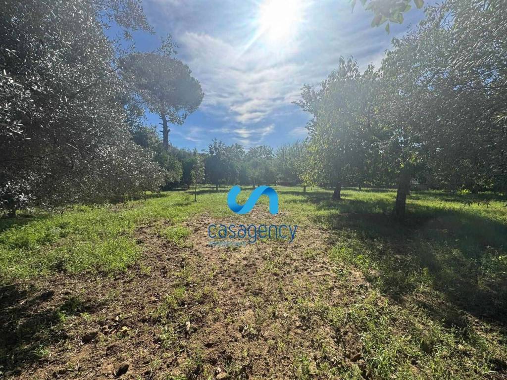 Terreno a Caserta - Foto 4