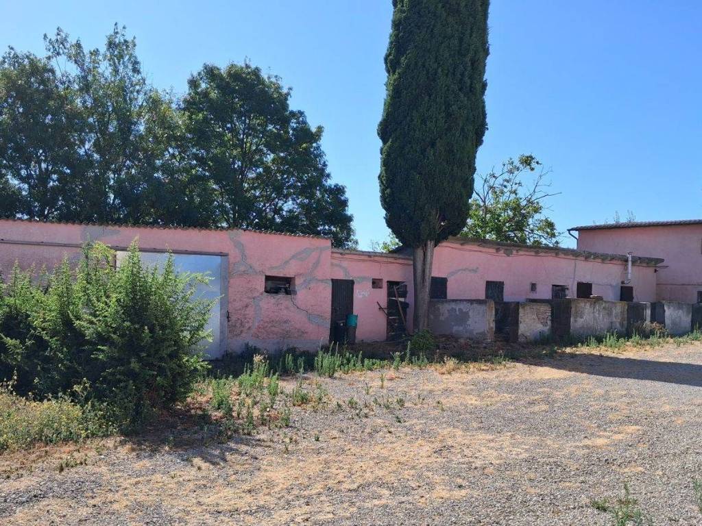 Rustico / casale a Magliano in toscana - Foto 4