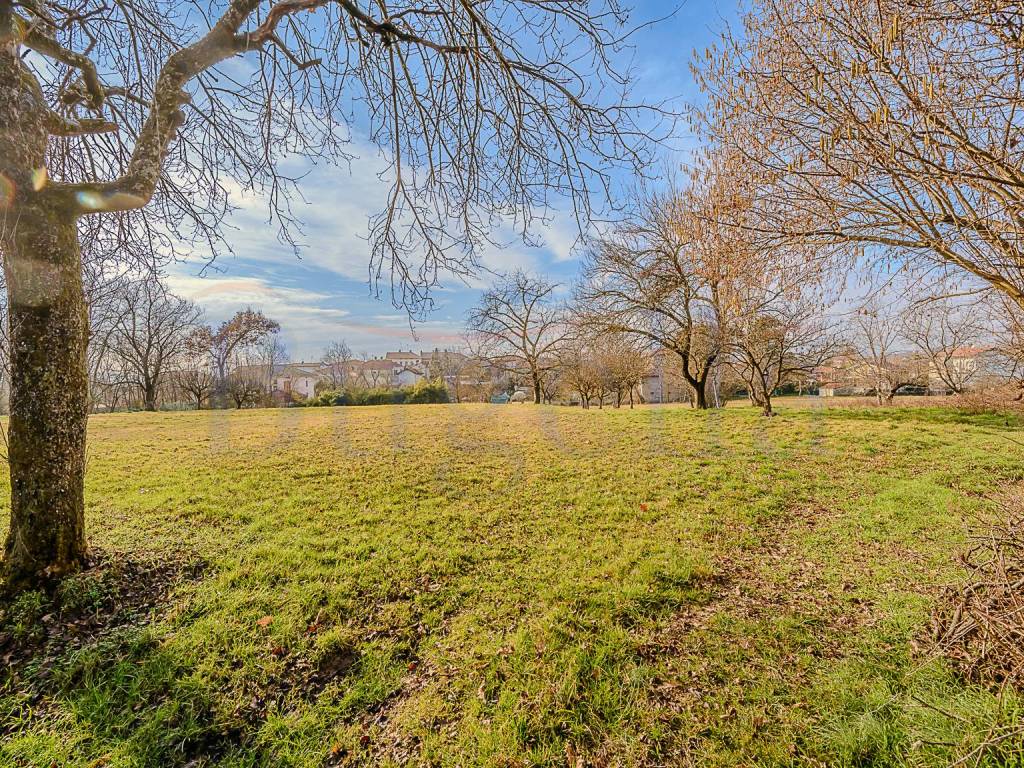 Terreno a Cossato - Foto 4