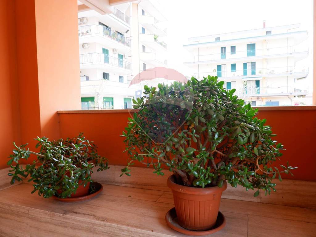 Appartamento a Caserta in Via Josè Maria Escriva, 4 - Foto 2