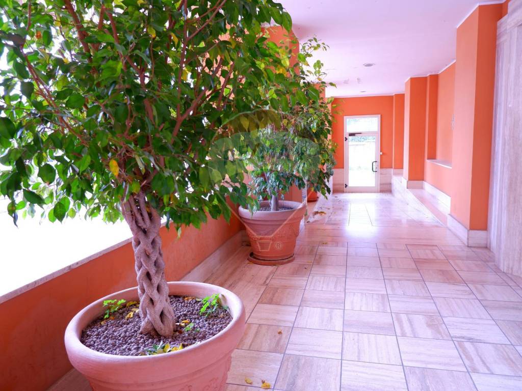 Appartamento a Caserta in Via Josè Maria Escriva, 4 - Foto 3