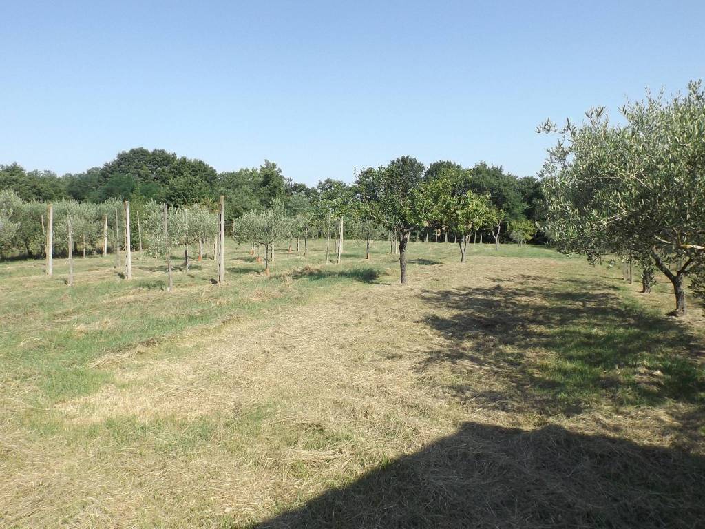 Rustico / casale a Cortona in Centoia - Foto 3
