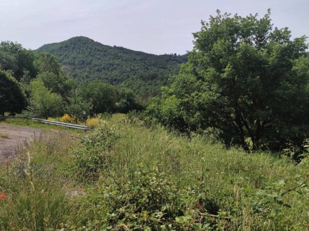 Terreno a Monte santa maria tiberina - Foto 2