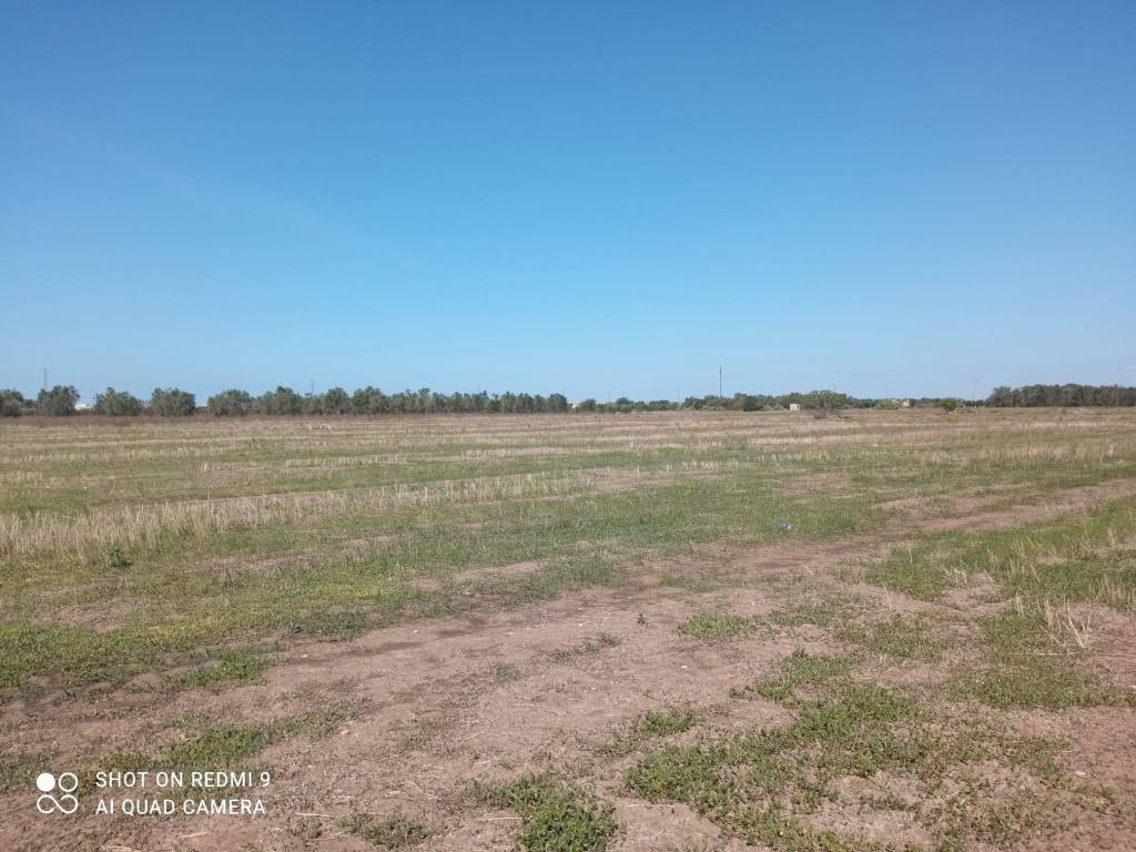 Terreno a Nardò in Via Zona Industriale - Foto 2
