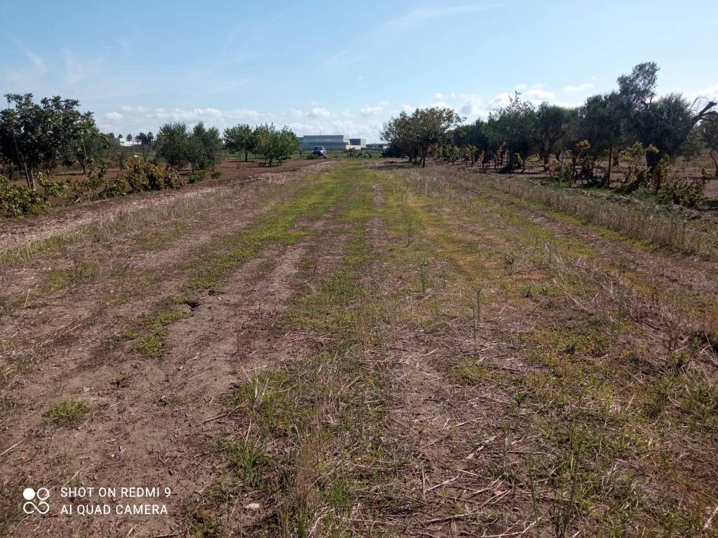 Terreno a Nardò in Via Zona Industriale - Foto 3
