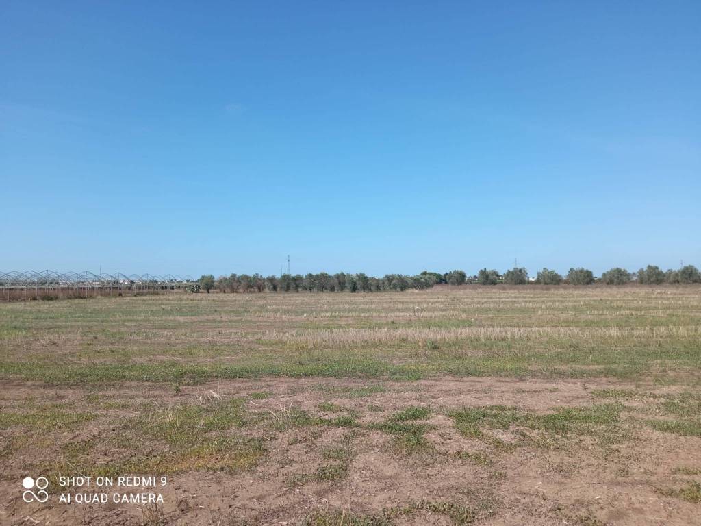 Terreno a Nardò in Via Zona Industriale - Foto 4