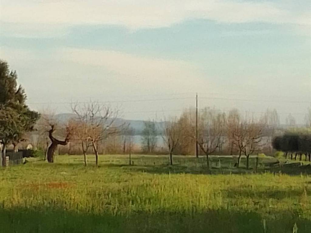 Terreno a Tuoro sul trasimeno - Foto 2