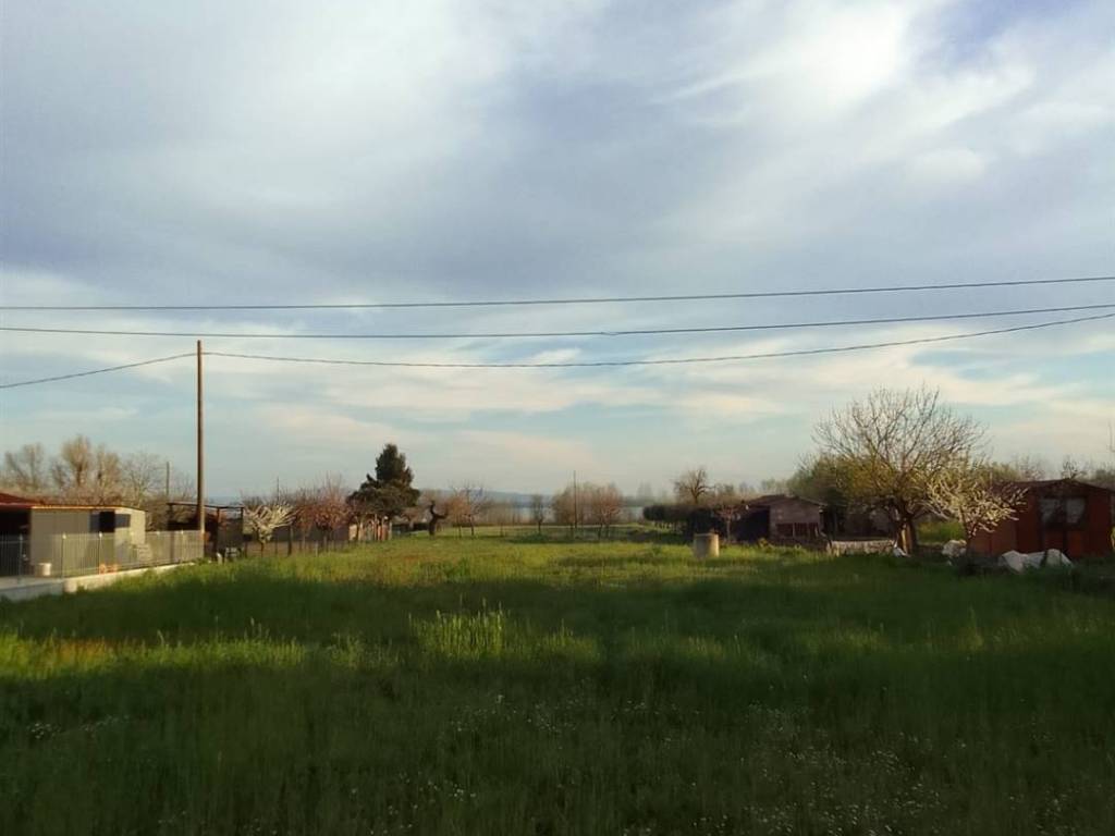 Terreno a Tuoro sul trasimeno - Foto 4