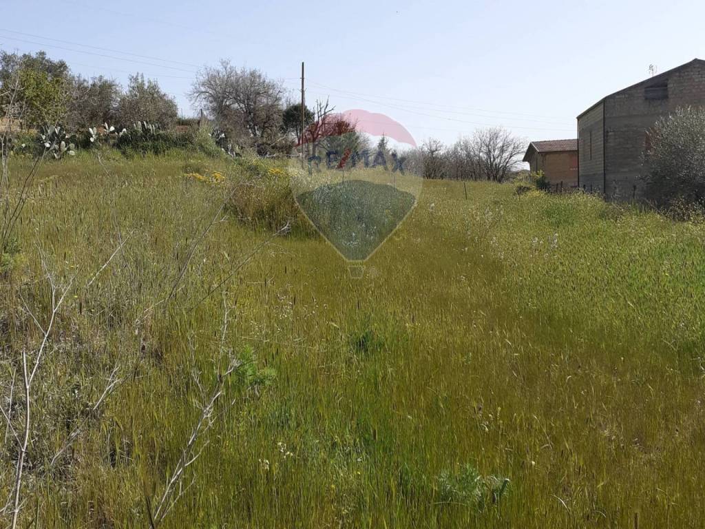 Terreno a Calascibetta in Contrada San Michele - Foto 2