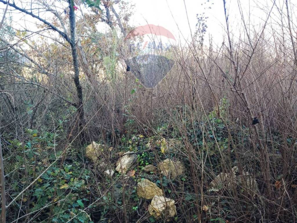 Terreno a Pietrastornina in Località due strade - Foto 2