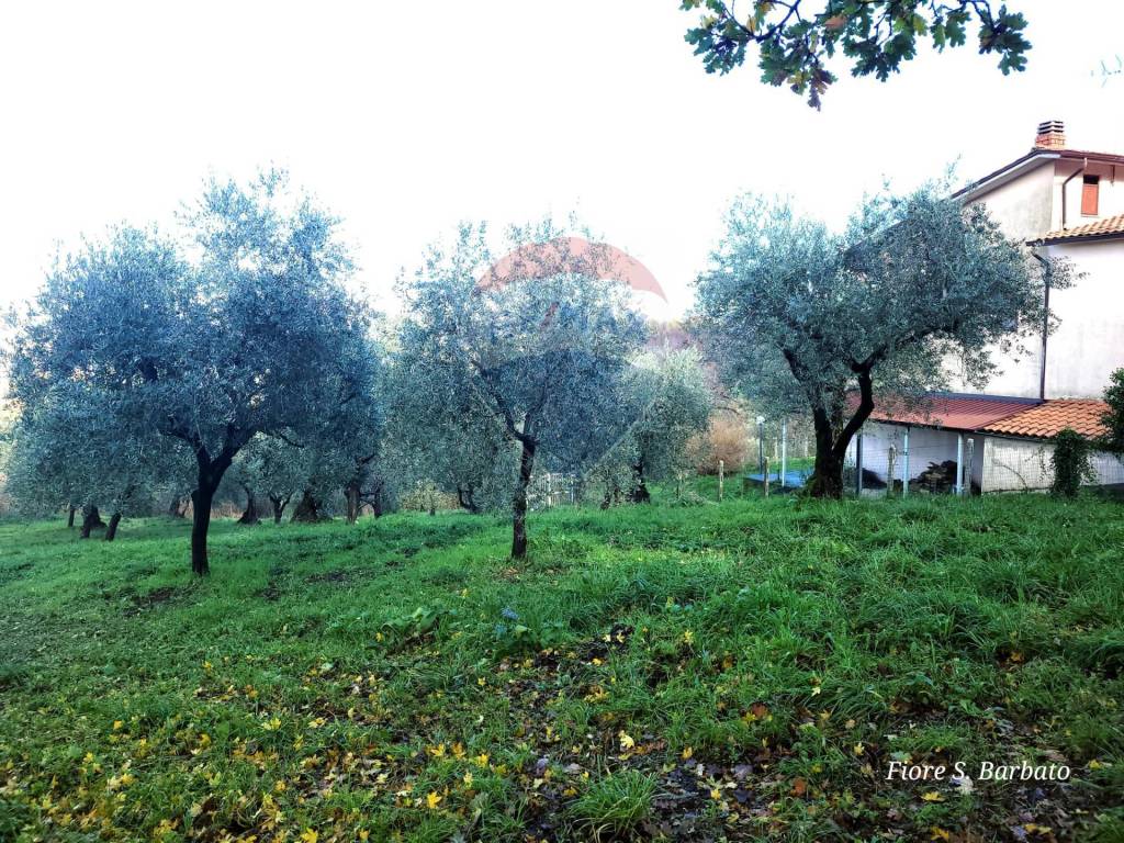 Terreno a Pietrastornina in Località due strade - Foto 3