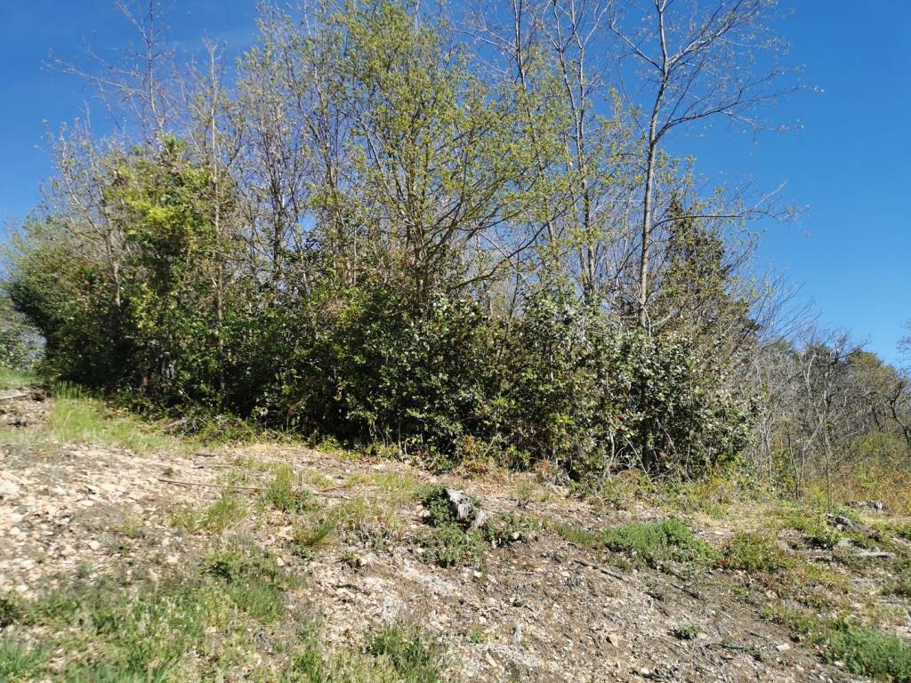 Terreno a Cuasso al monte - Foto 3