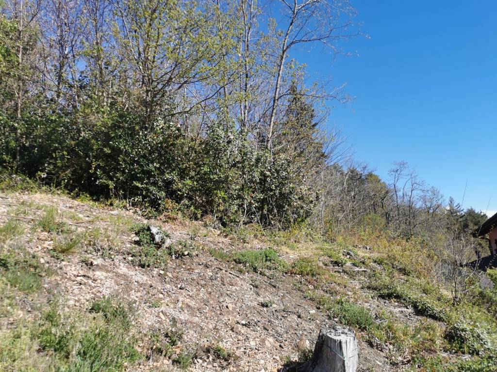 Terreno a Cuasso al monte - Foto 4