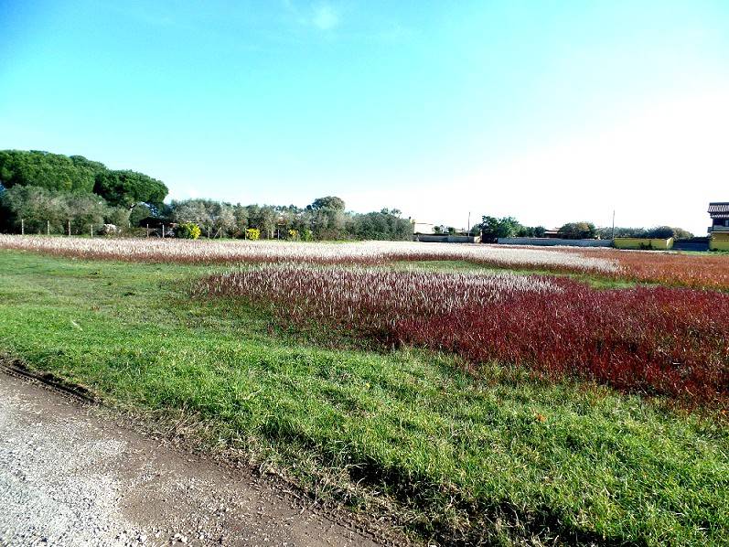 Terreno a Aprilia in Via Valfurva, 13 - Foto 4