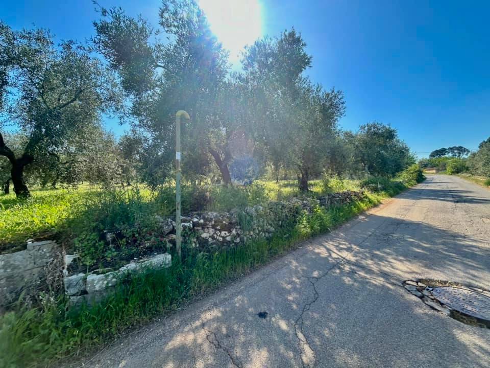 Terreno a Cassano delle murge in Via Mellitto - Foto 2