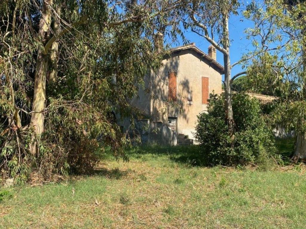 Rustico / casale a Ladispoli in Via dei Faggi - Foto 3