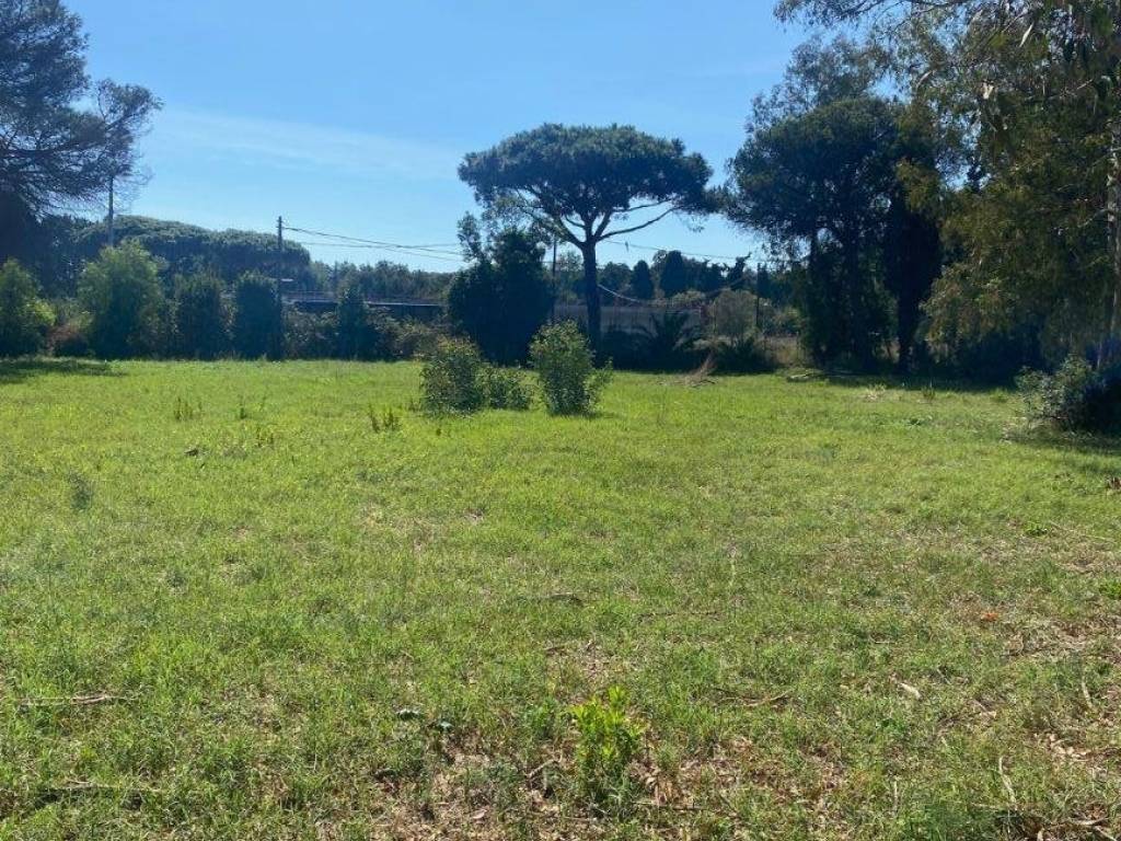 Rustico / casale a Ladispoli in Via dei Faggi - Foto 4