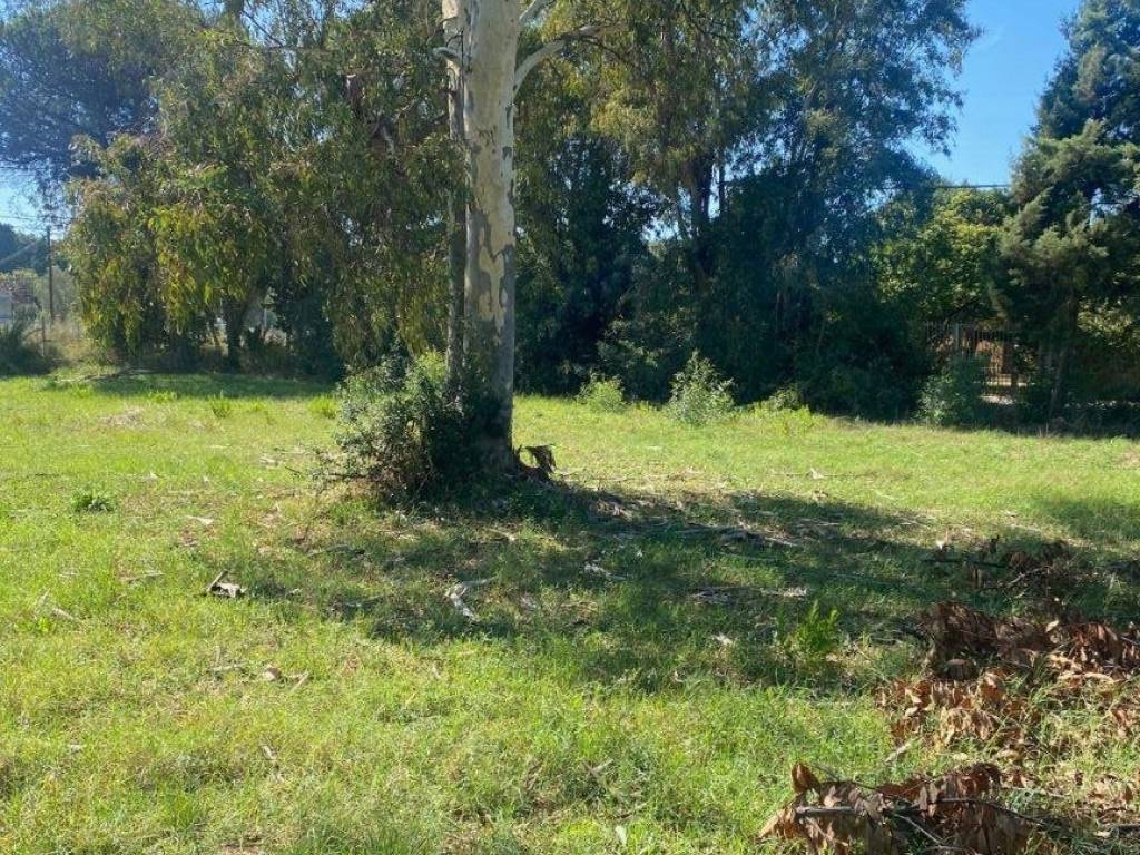 Rustico / casale a Ladispoli in Via dei Faggi - Foto 5