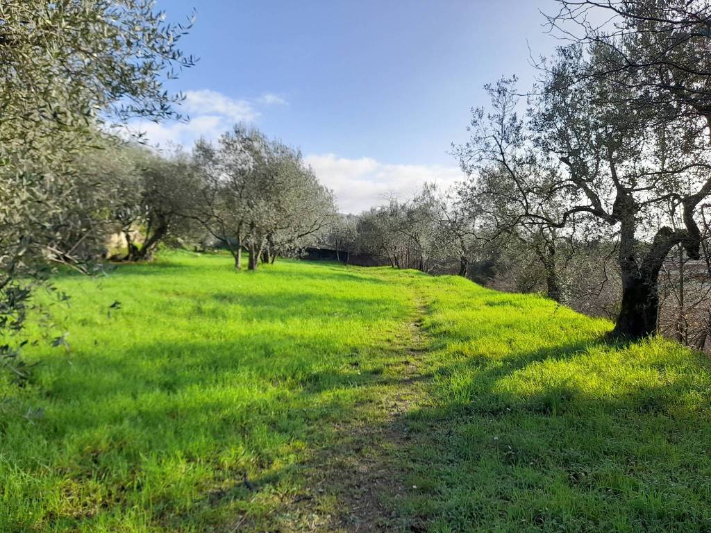 Terreno a Sesto fiorentino in Via degli Scarpettini - Foto 2
