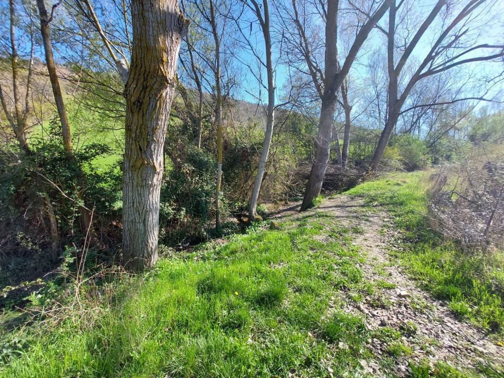 Rustico / casale a Lapedona in Contrada Saltareccio s.n.c - Foto 5