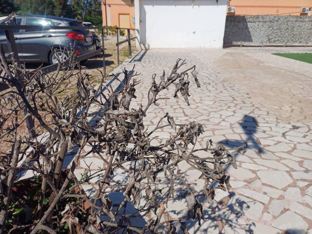 Immobile a Terracina in Via Pantani da Basso - Foto 3