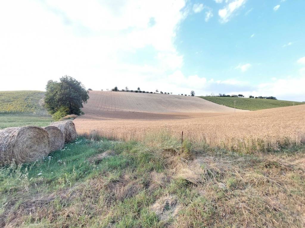 Terreno a Montottone in montottone s.n.c - Foto 2