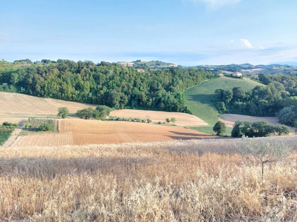 Terreno a Montottone in montottone s.n.c - Foto 5