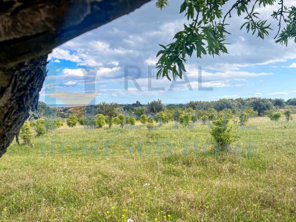 Terreno a Noto in Via Tommaso Fazello, 228 - Foto 4