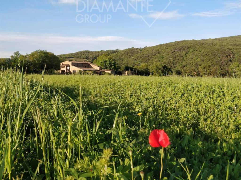 Rustico / casale a Civitella paganico in Civitella Paganico - Foto 2