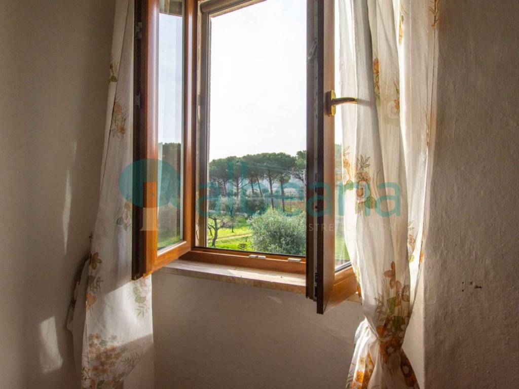 Rustico / casale a Scarlino - Foto 4