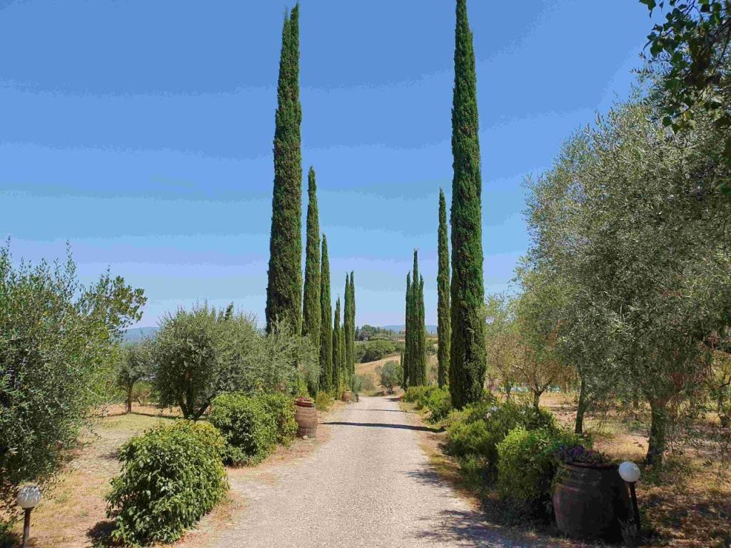 Rustico / casale a Cinigiano in cinigiano - Foto 2