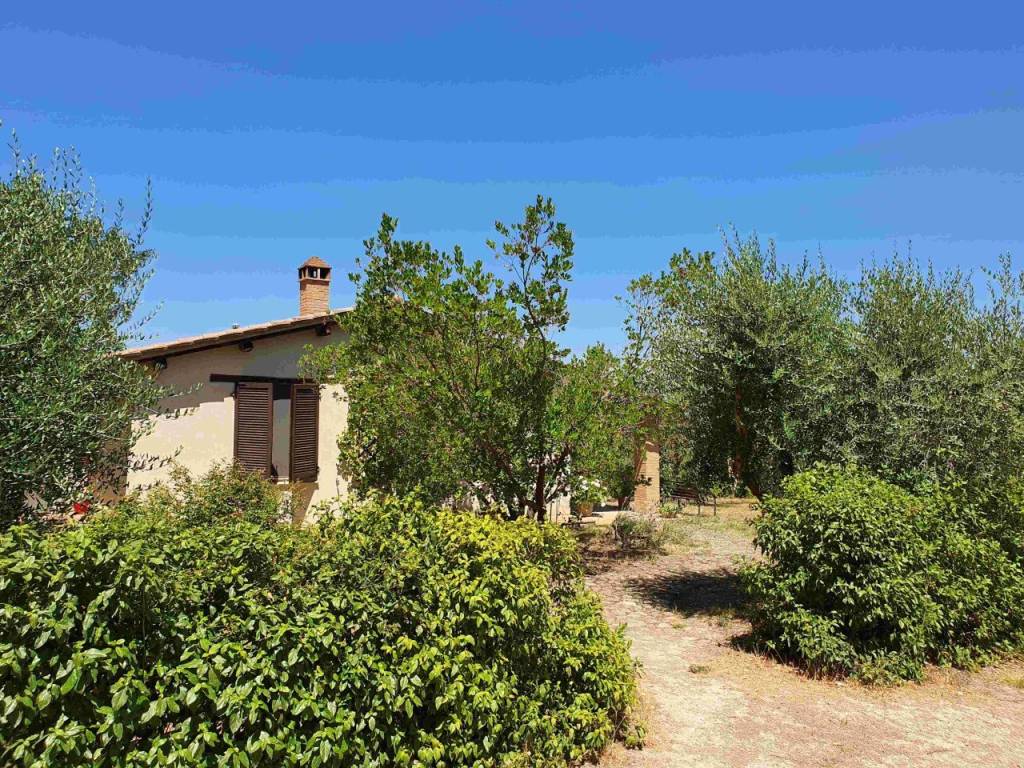 Rustico / casale a Cinigiano in cinigiano - Foto 3