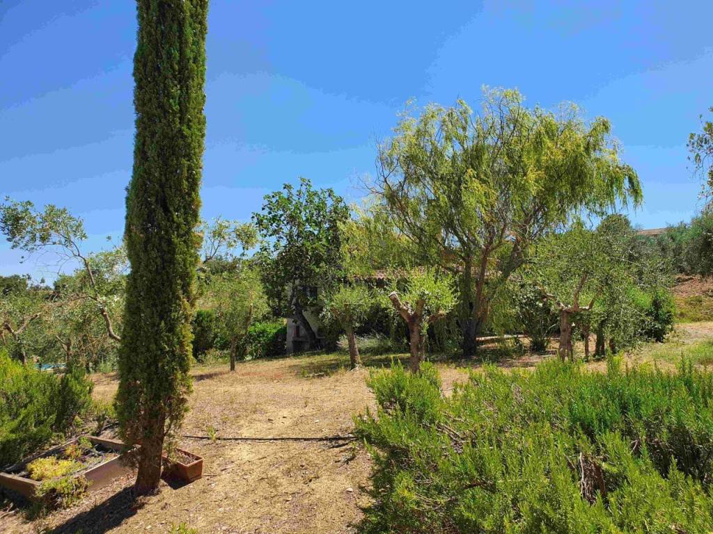 Rustico / casale a Cinigiano in cinigiano - Foto 4