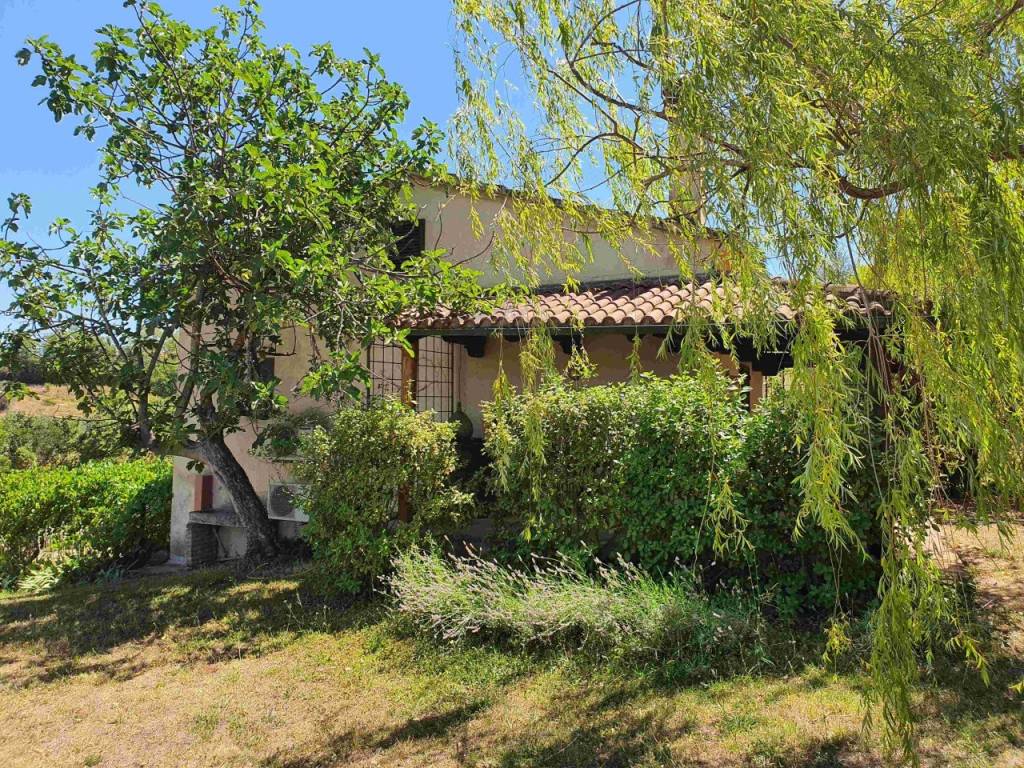 Rustico / casale a Cinigiano in cinigiano - Foto 5