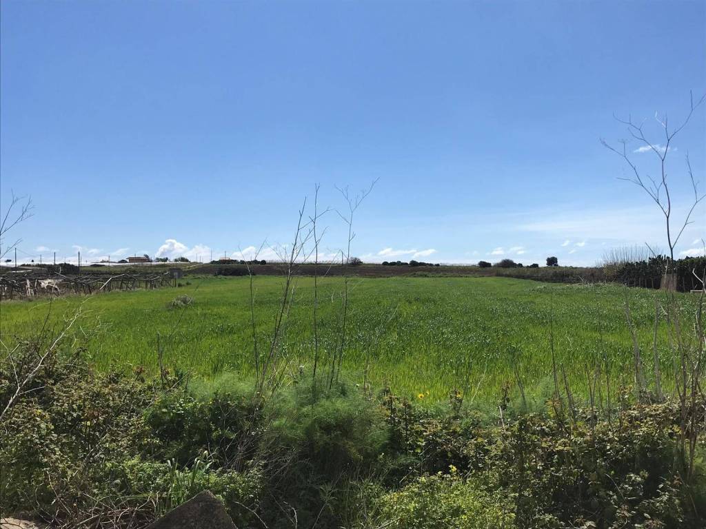Terreno a Pachino in contrada maucini - Foto 2